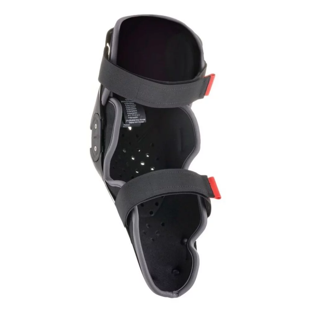 ALPINESTARS SX-1 V2
