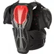 Мотопанцир ALPINESTARS BIONIC