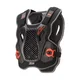 Мотопанцирь ALPINESTARS BIONIC ACTION