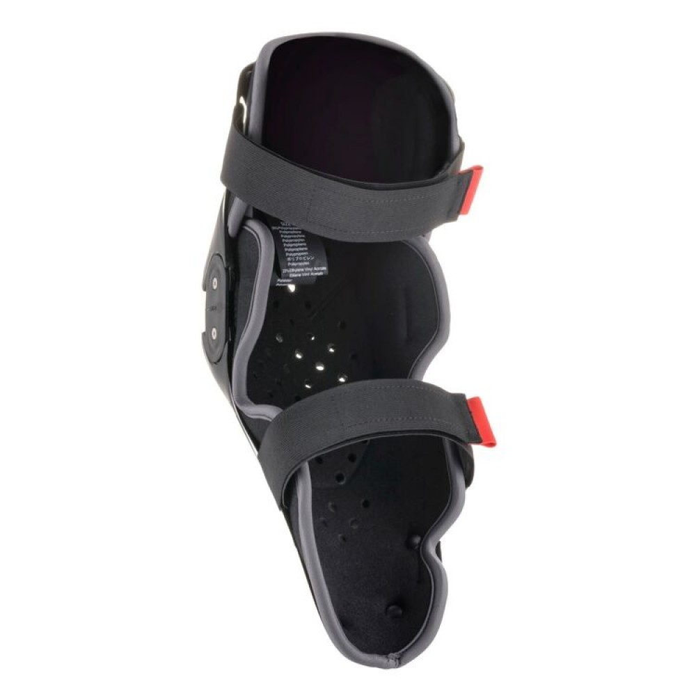 ALPINESTARS SX-1 V2